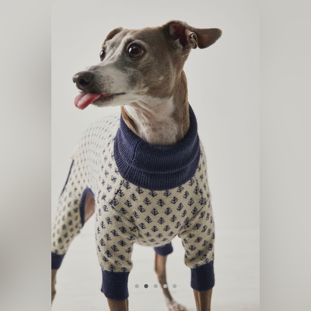 Free people x maxbone dog jumpsuit
